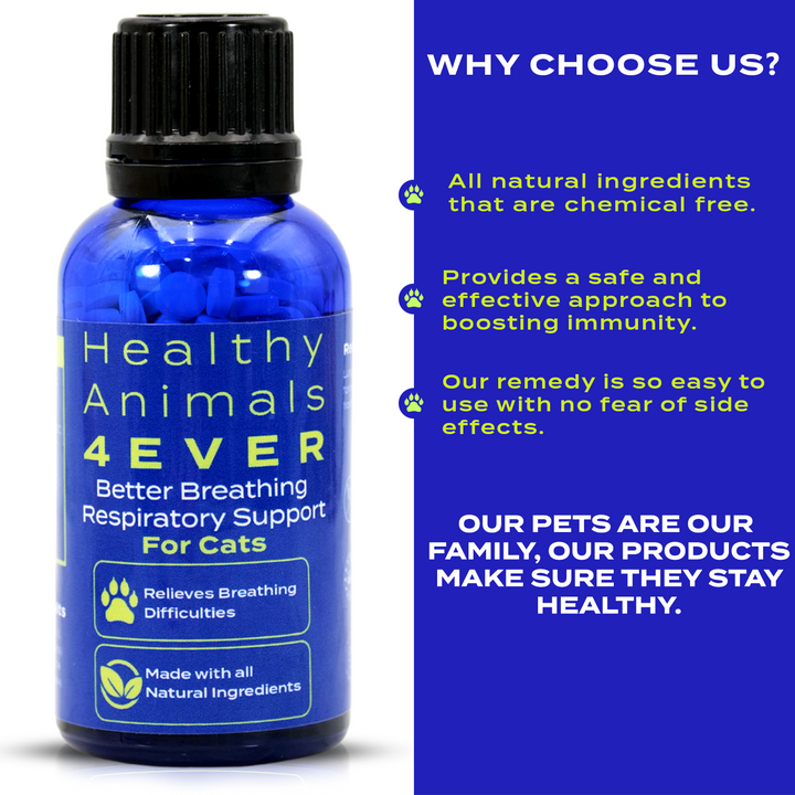 Better Breathing Respiratory Support Formula for Cats, 30-Day Supply