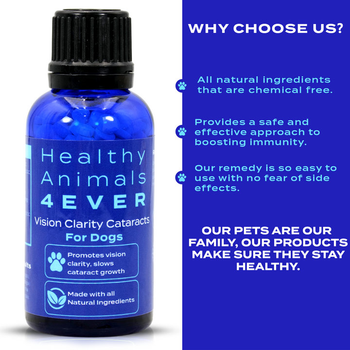Vision Clarity/Cataracts Support Formula for Dogs, 30-Day Supply