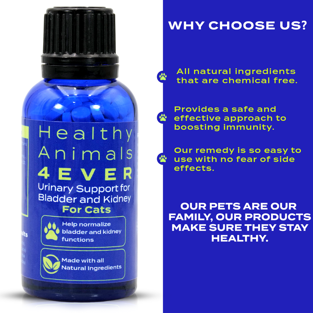 Urinary Support for Bladder and Kidney Formula for Cats, 30-Day Supply