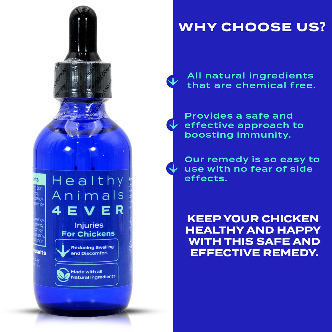 Chicken Injury Support (Liquid)