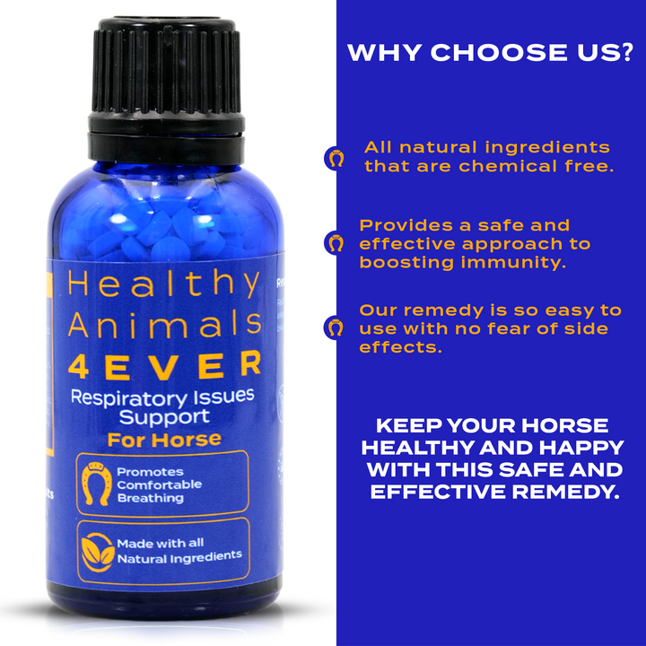 Horse Respiratory Issues Support