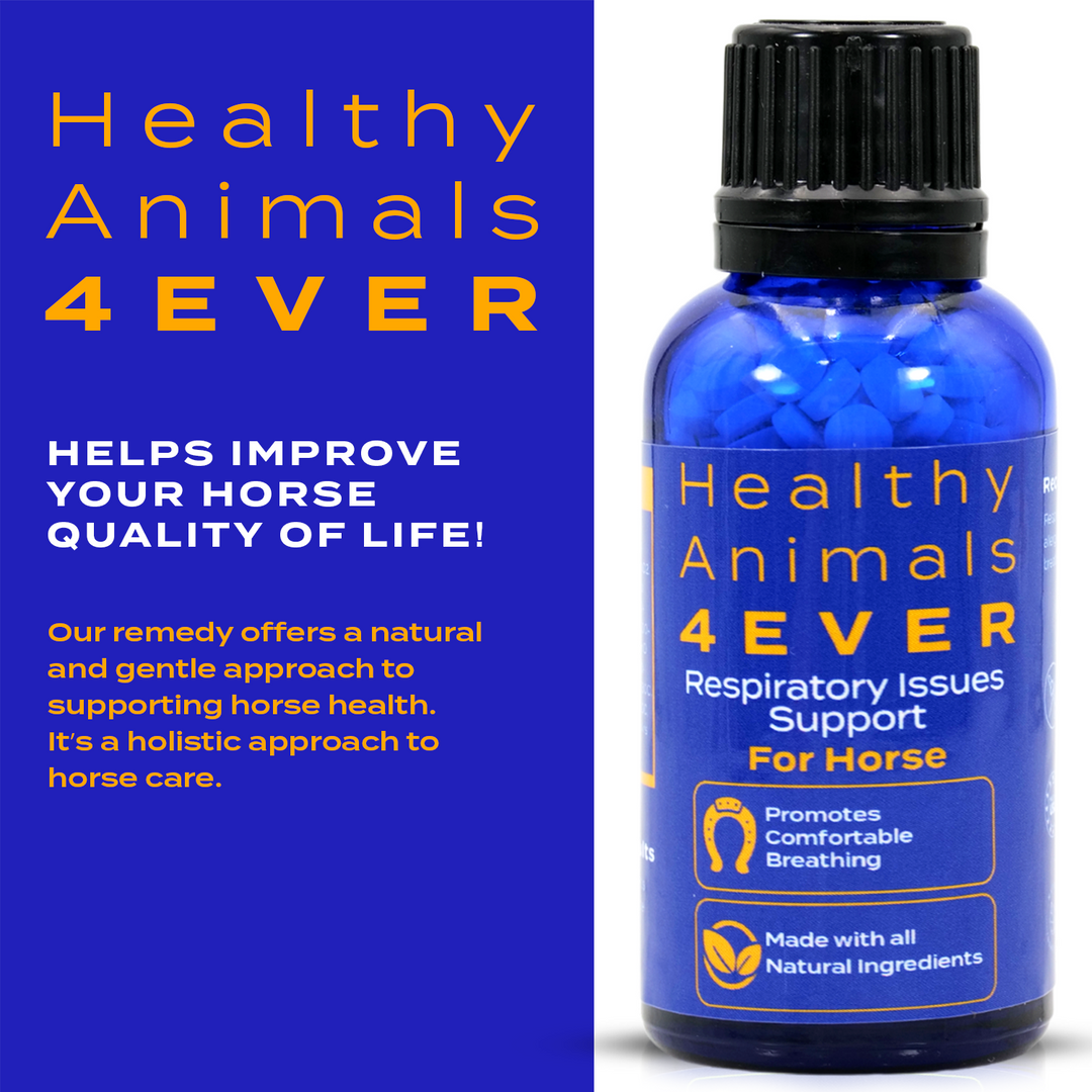Horse Respiratory Issues Support