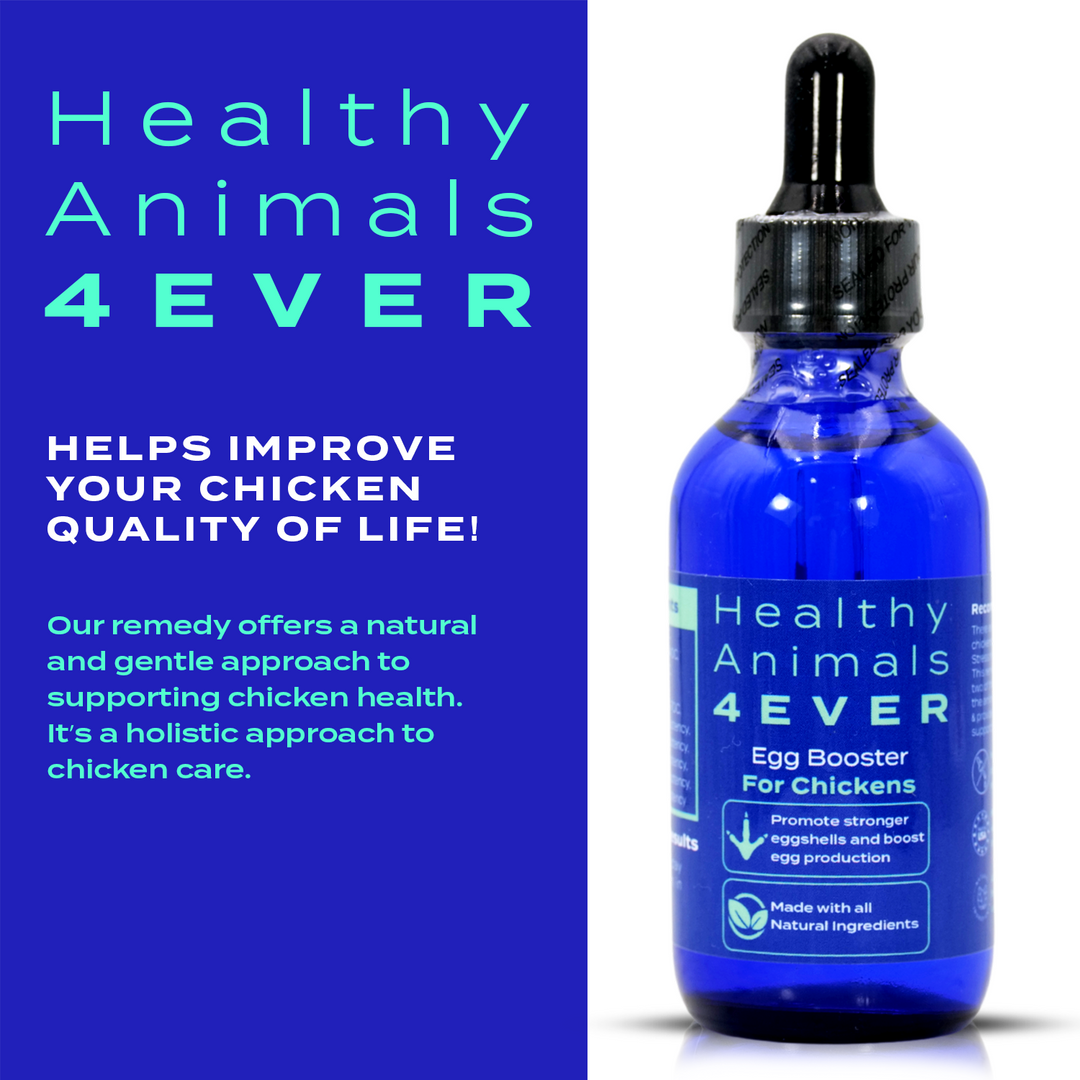 Chicken Egg Booster (Liquid)