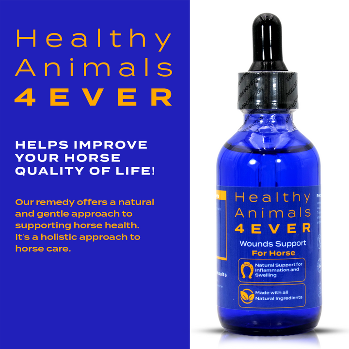 Horse Wounds Support (Liquid)