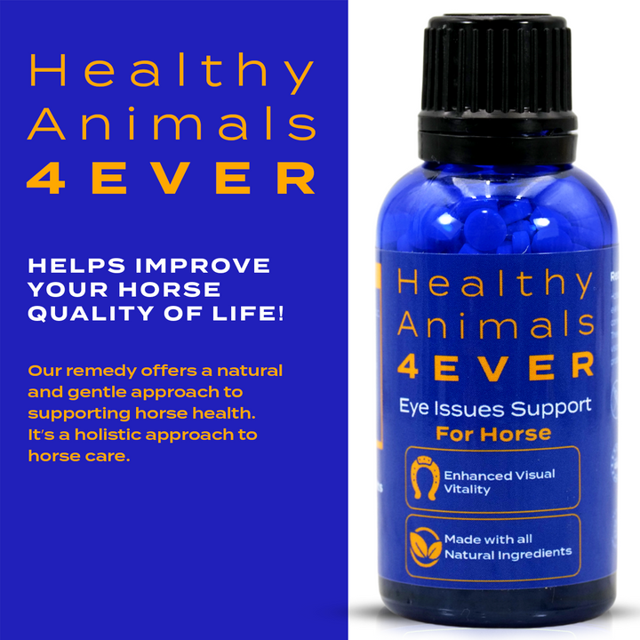 Horse Eye Health Support
