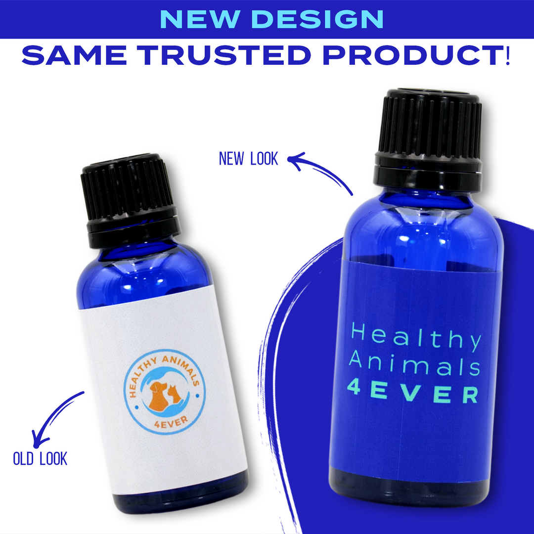 Natural Hyperthyroidism Support Formula for Dogs, 30-Day Supply