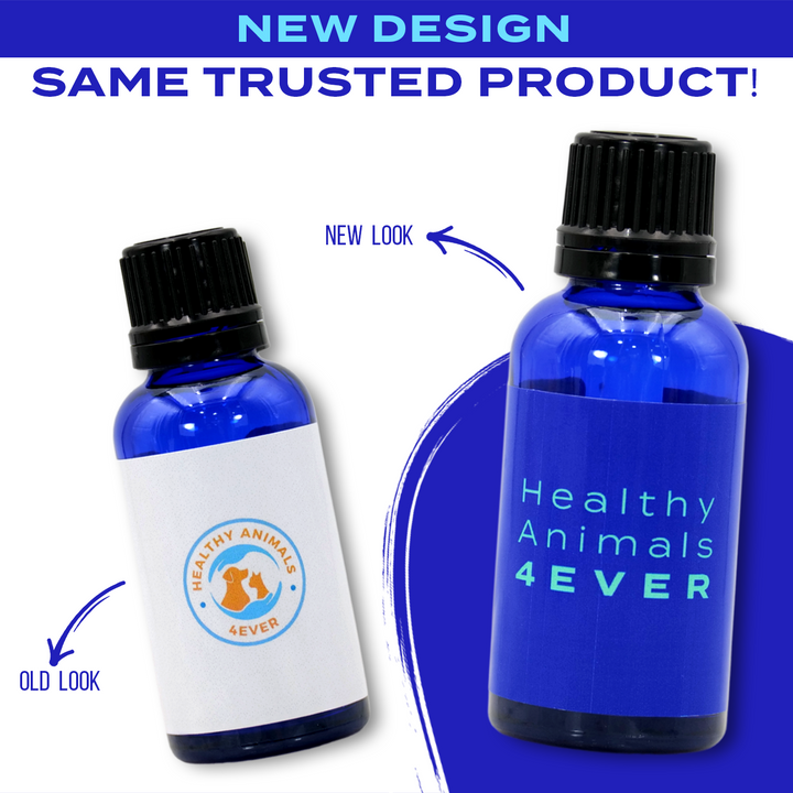 Natural Hyperthyroidism Support Formula for Dogs, 30-Day Supply