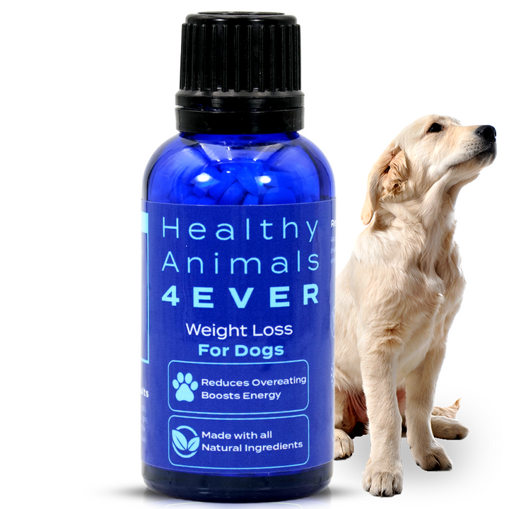 Weight Loss Formula for Dogs, 30-Day Supply