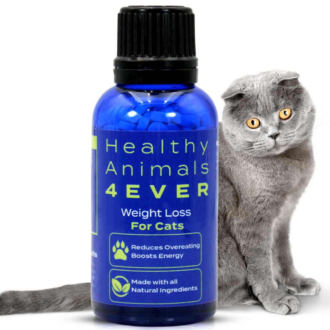 Weight Loss Formula for Cats, 30-Day Supply