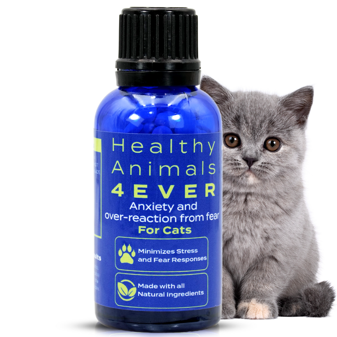 Anxiety and Over-Reaction from Fear Formula for Cats, 30-Day Supply