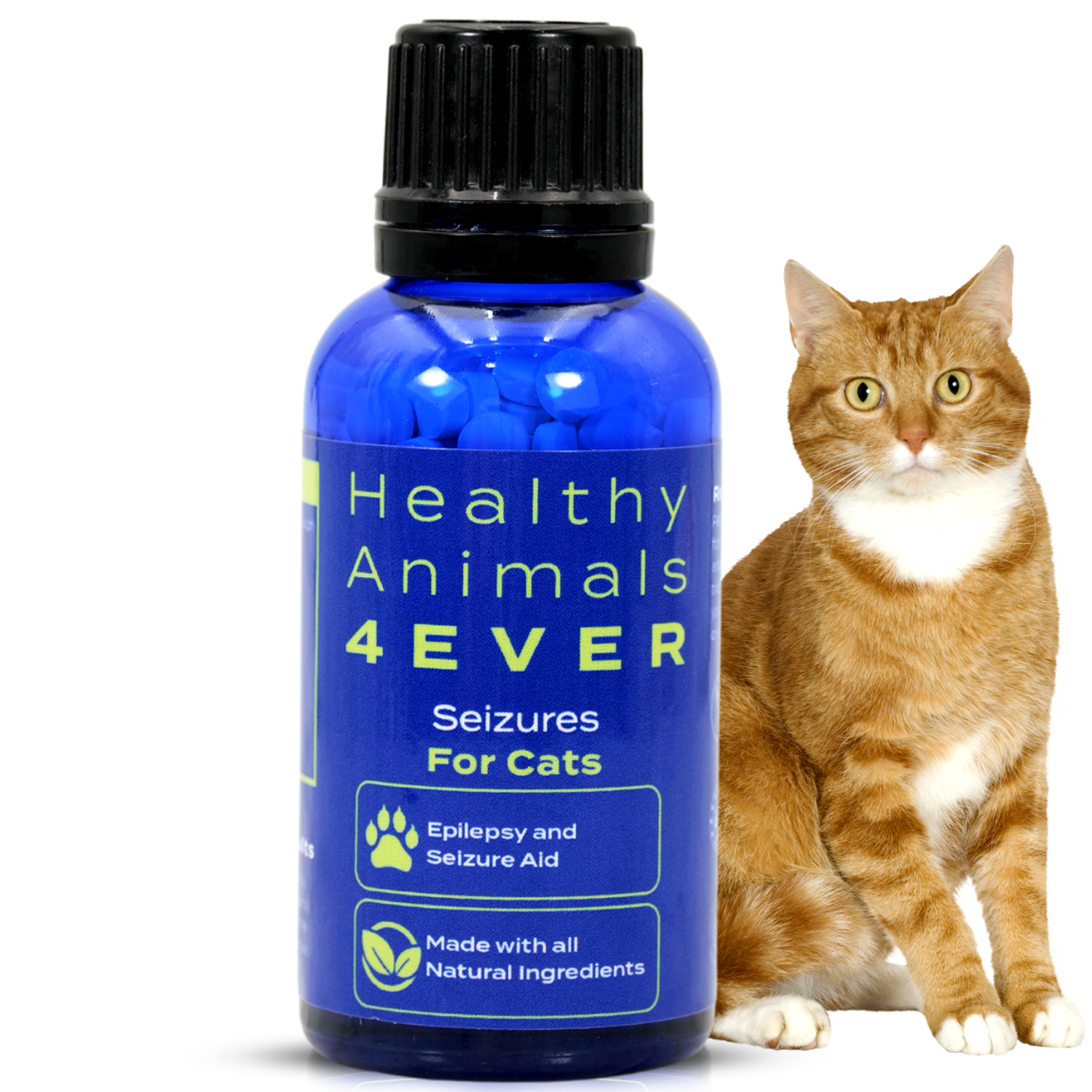 Seizures Cats – Healthy Animals 4Ever