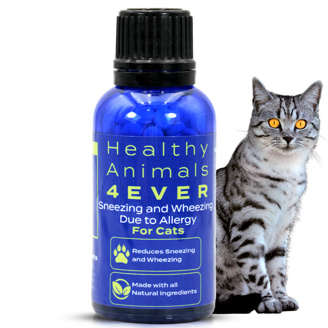 Sneezing and Wheezing Due to Allergy Formula for Cats, 30-Day Supply