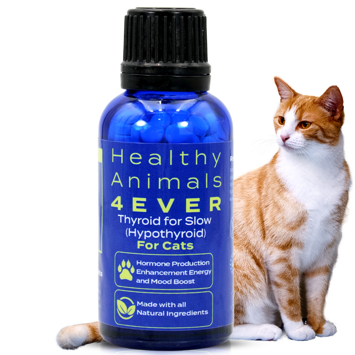 Natural Hypothyroidism Support Formula for Cats, 30-Day Supply
