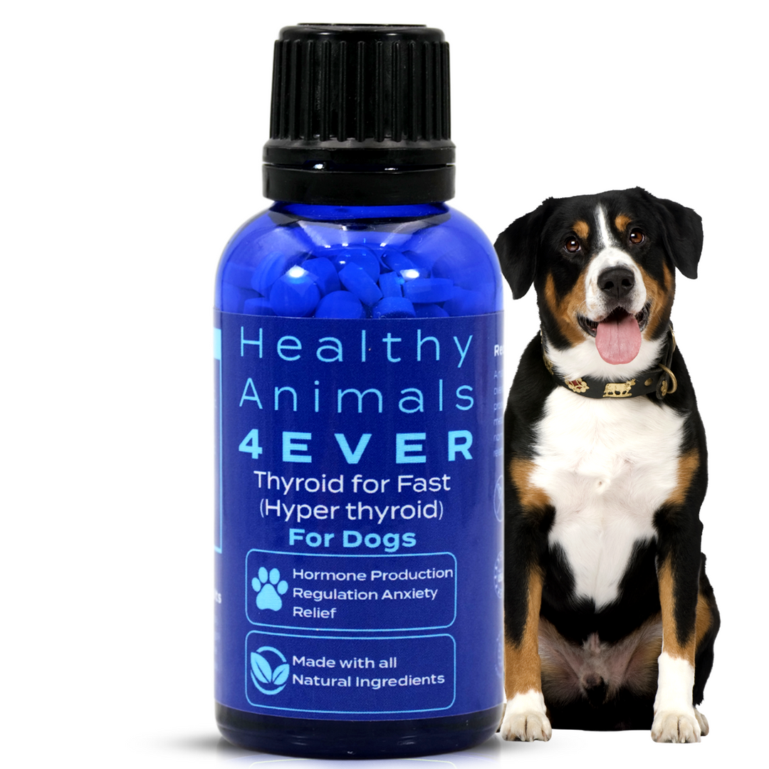 Natural Hyperthyroidism Support Formula for Dogs, 30-Day Supply