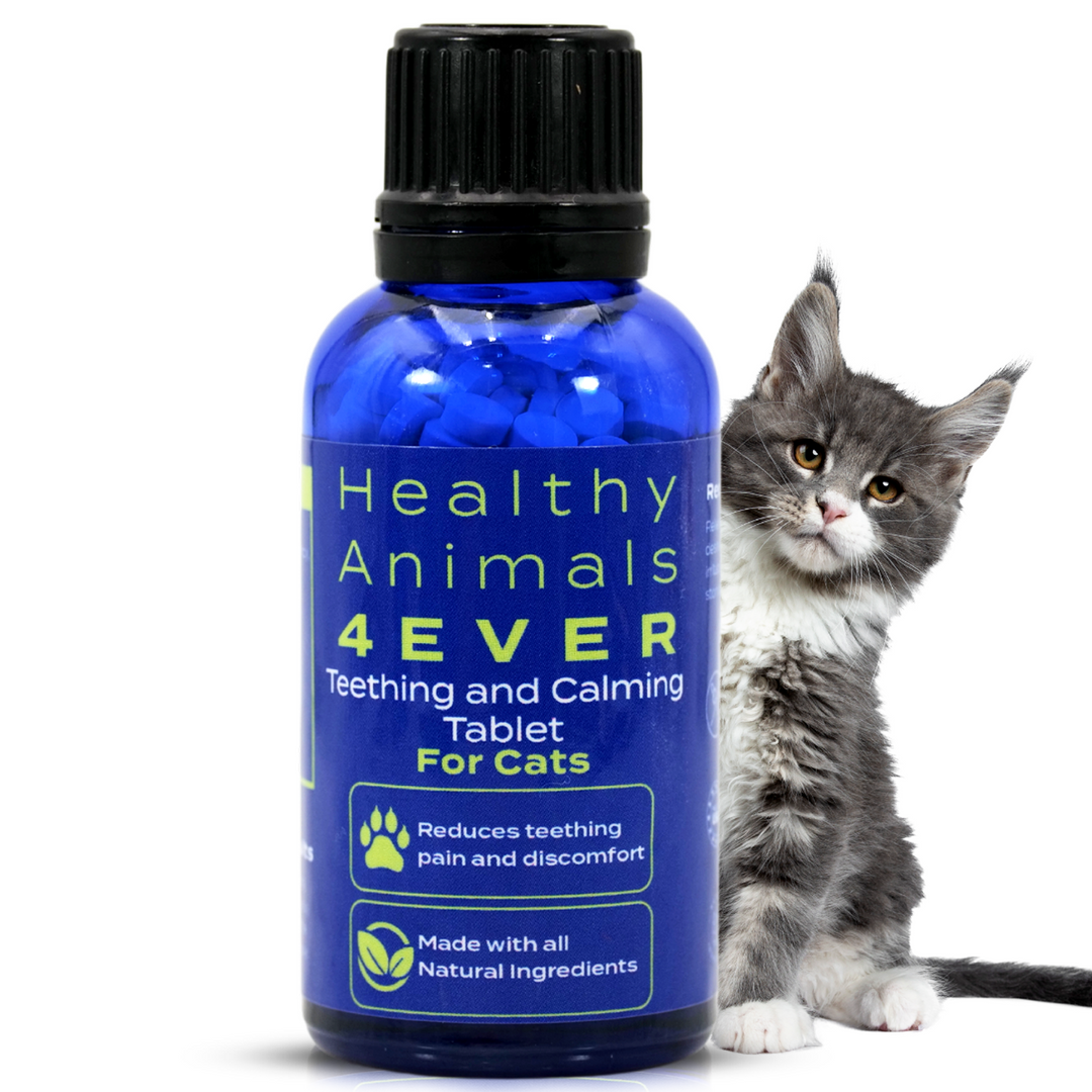 Teething Relief & Calming Formula for Cats, 30-Day Supply