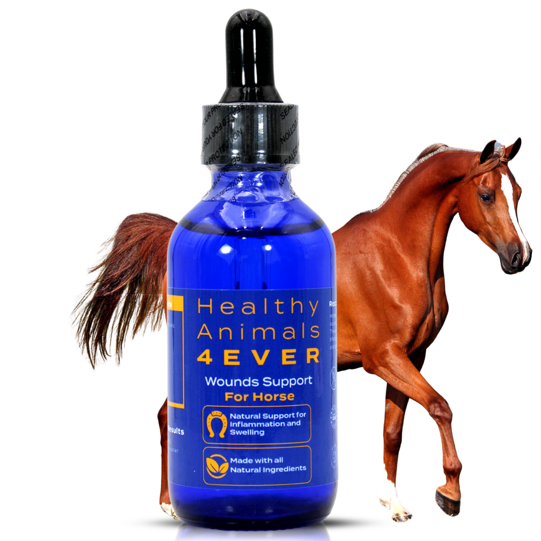 Horse Wounds Support (Liquid)