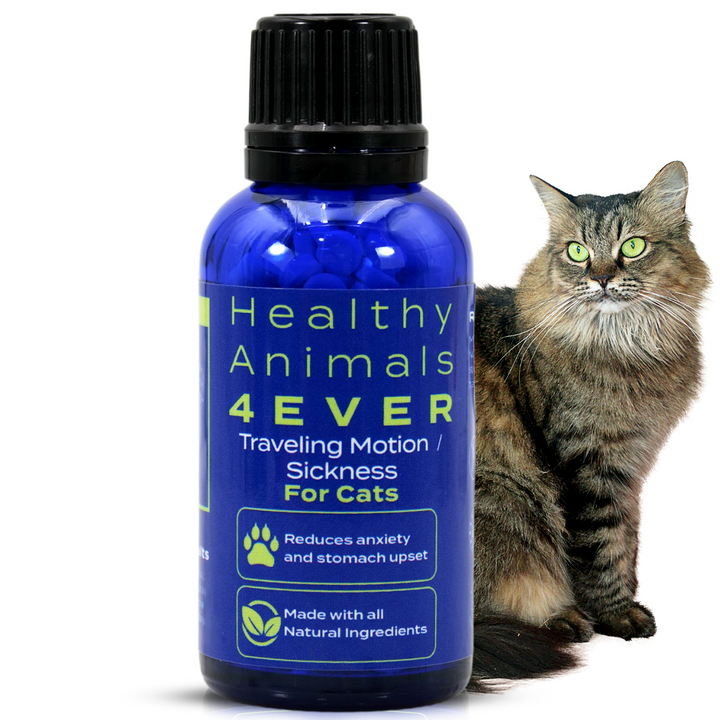 Traveling/Motion Sickness Support Formula for Cats, 30-Day Supply