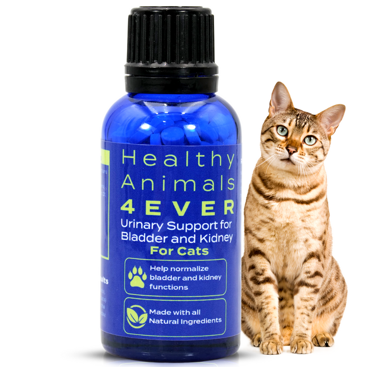 Urinary Support for Bladder and Kidney Formula for Cats, 30-Day Supply
