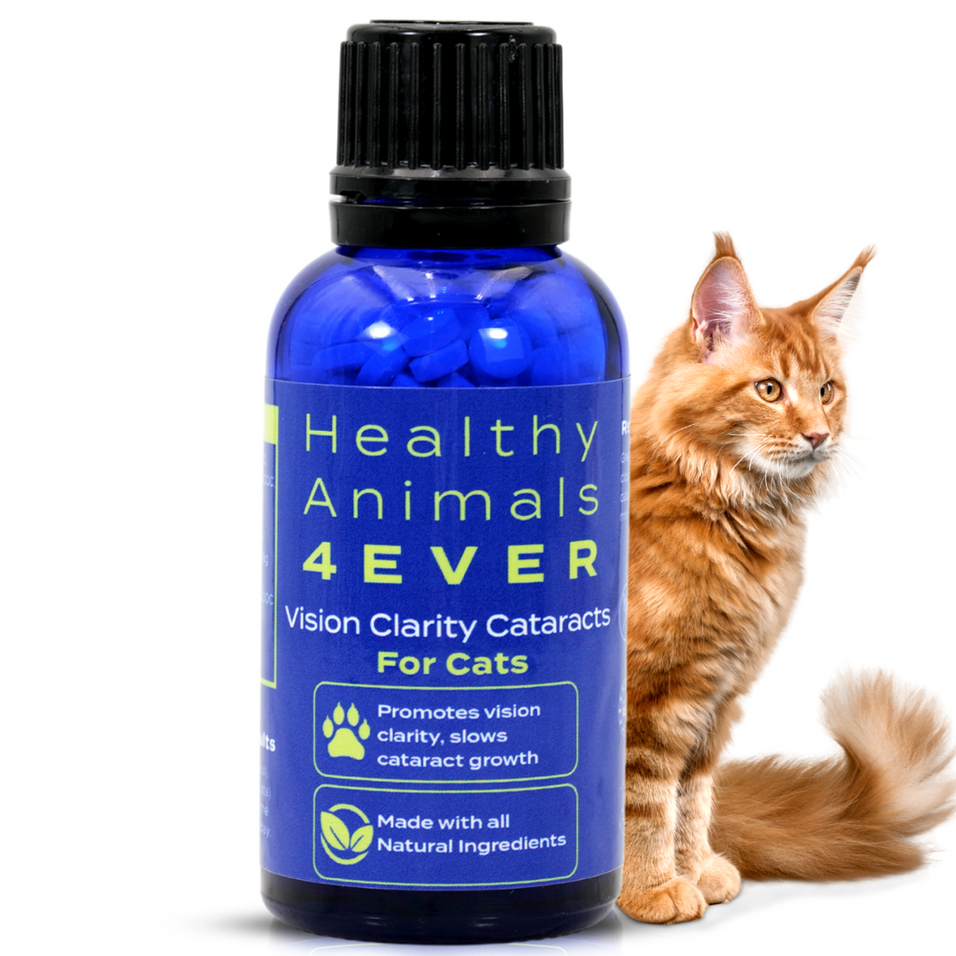 Vision Clarity/Cataracts Support Formula for Cats, 30-Day Supply