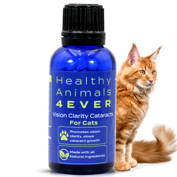 Vision Clarity/Cataracts Support Formula for Cats, 30-Day Supply