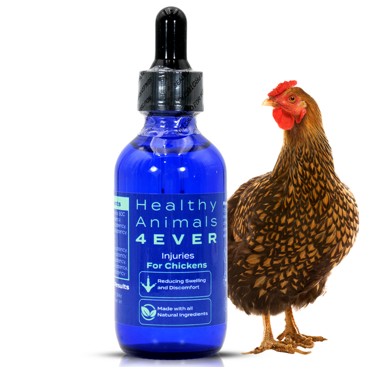 Chicken Injury Support (Liquid)