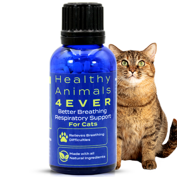 Better Breathing Respiratory Support Formula for Cats, 30-Day Supply