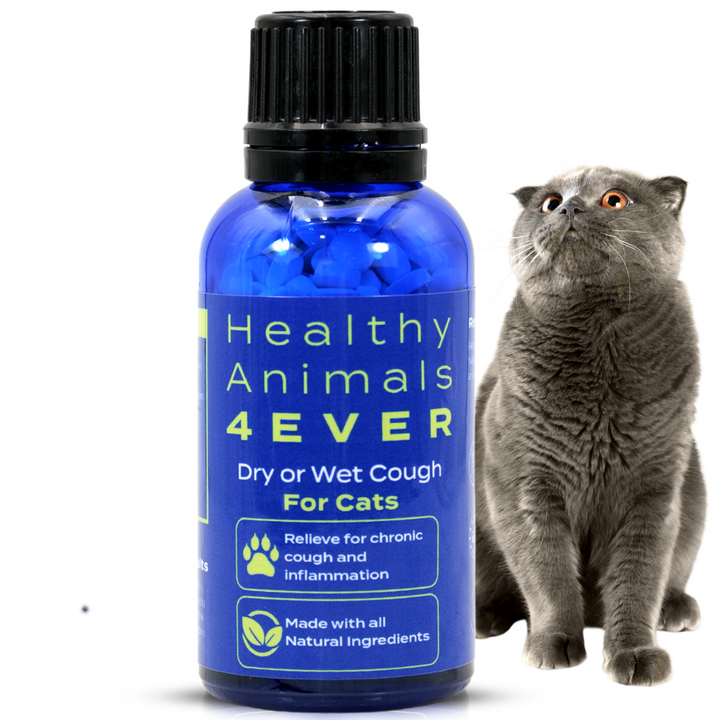Dry or Wet Cough Formula for Cats, 30-Day Supply