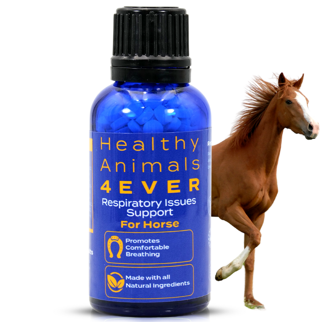 Horse Respiratory Issues Support
