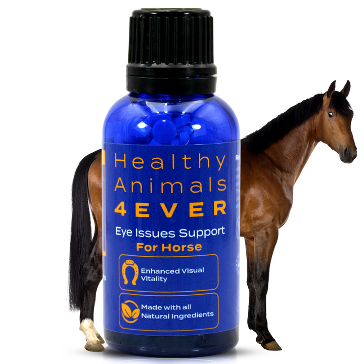 Horse Eye Health Support