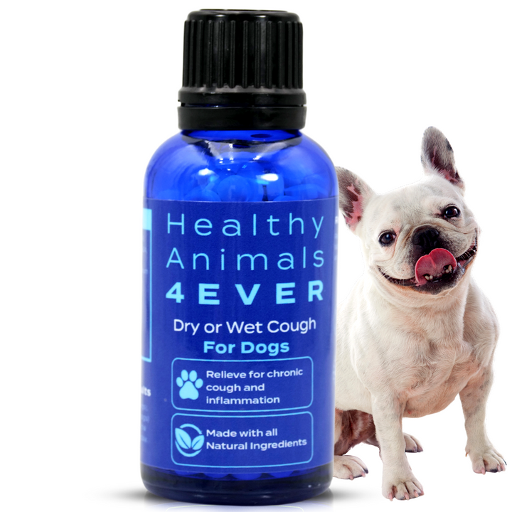 Dry or Wet Cough Formula for Dogs, 30-Day Supply