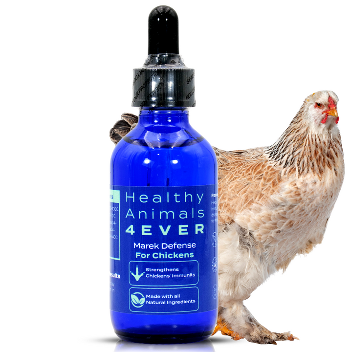 Chicken Immunity Support for Marek's Disease (Liquid)