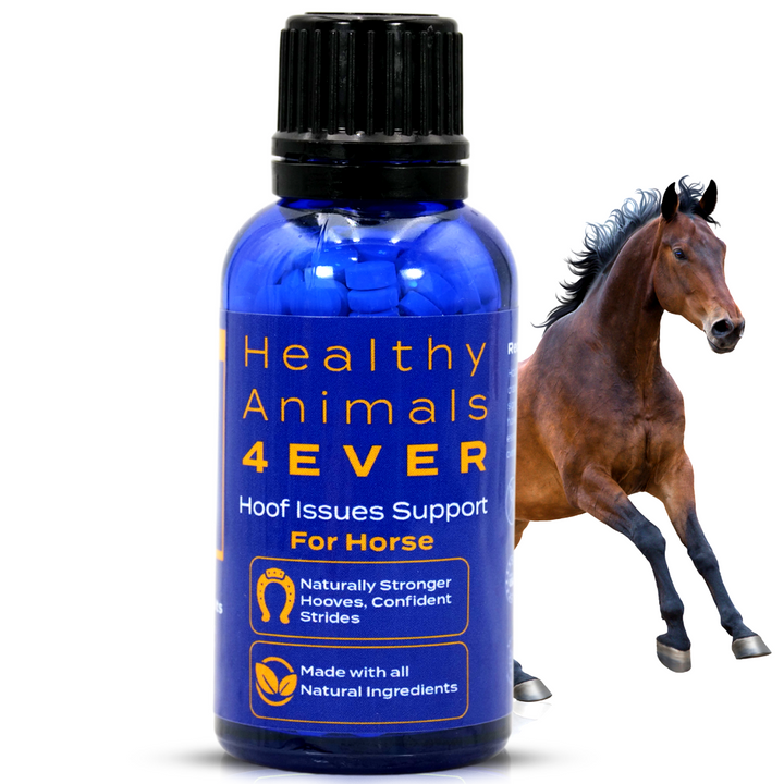 Horse Hoof Support
