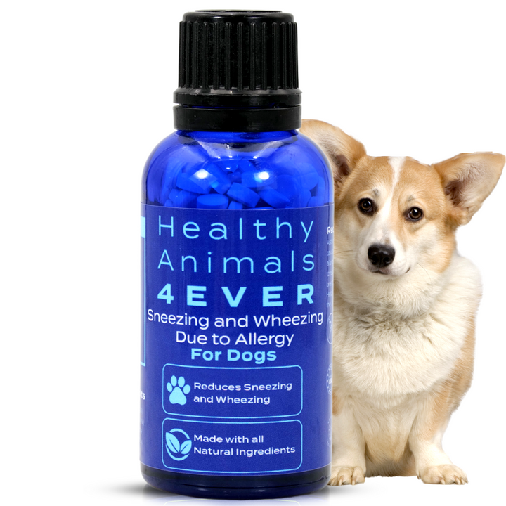 Sneezing and Wheezing Due to Allergy Formula for Dogs, 30-Day Supply