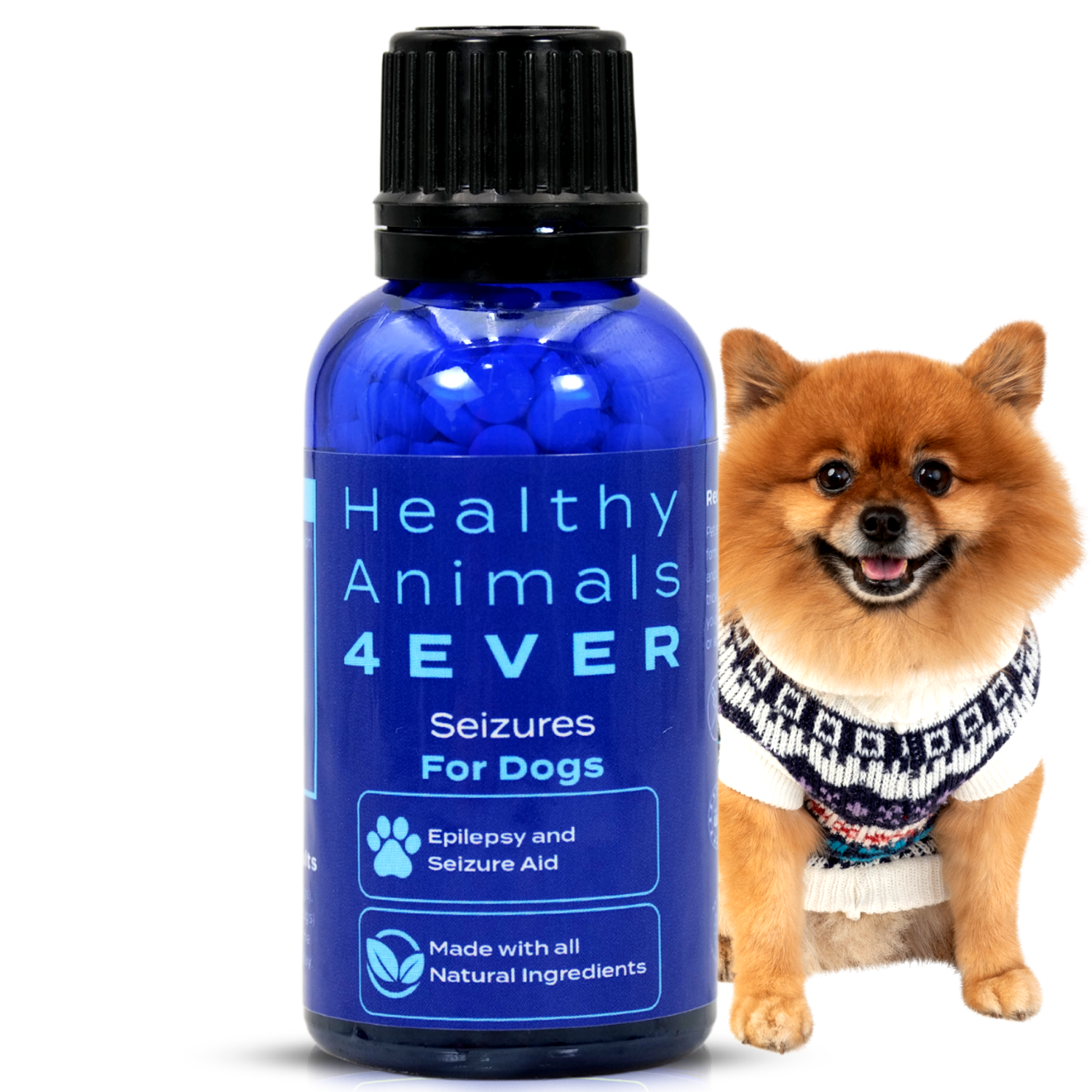 Seizures Dogs – Healthy Animals 4Ever