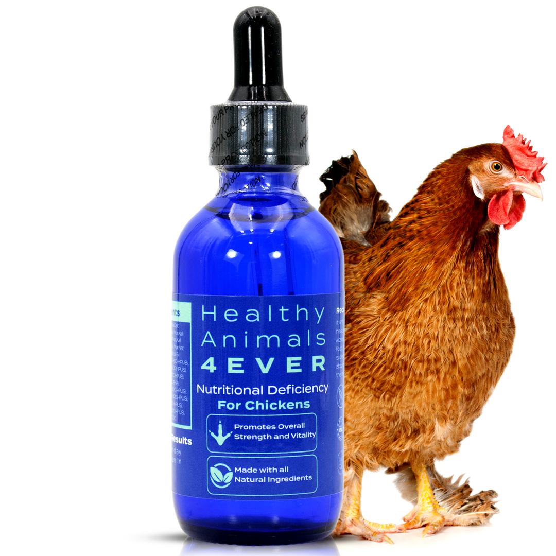 Chicken Nutritional Deficiency Supplement  (Liquid)