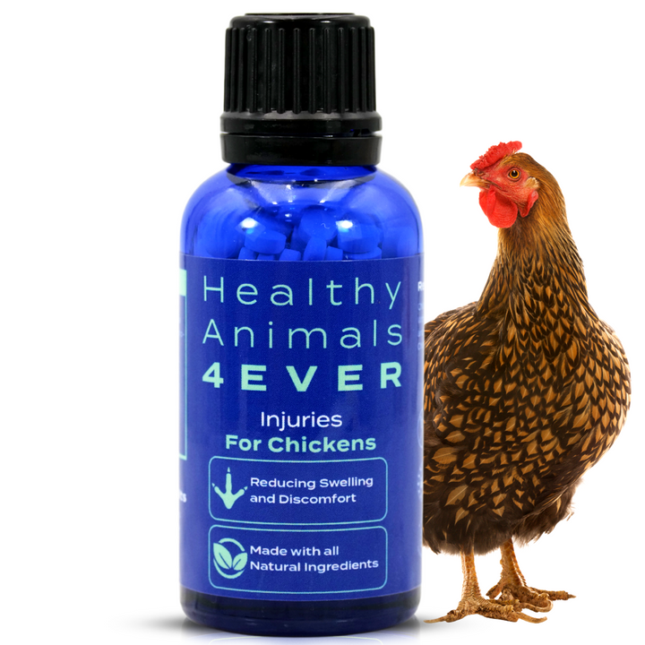 Chicken Injury Support