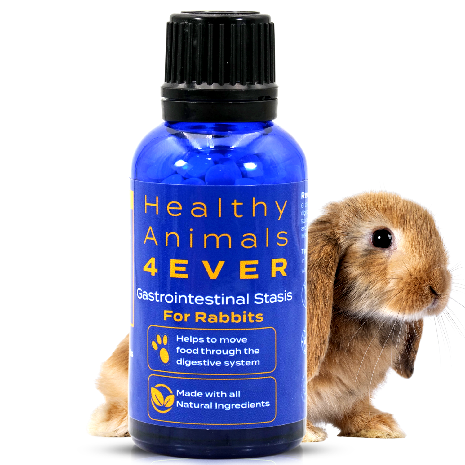 View of Gastrointestinal Stasis Relief for Rabbits – Healthy Animals 4Ever