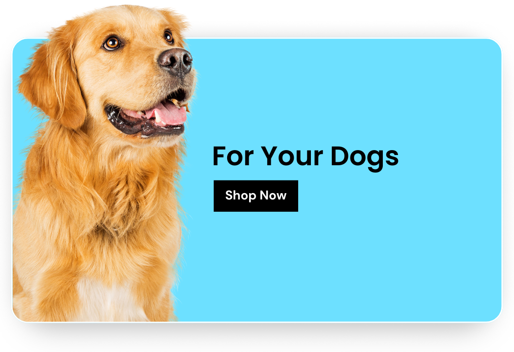 Shop for your Dogs