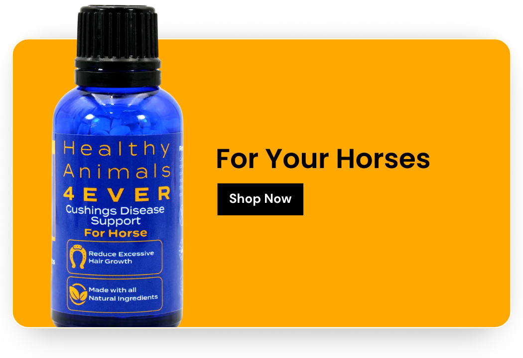 Shop for your Horses