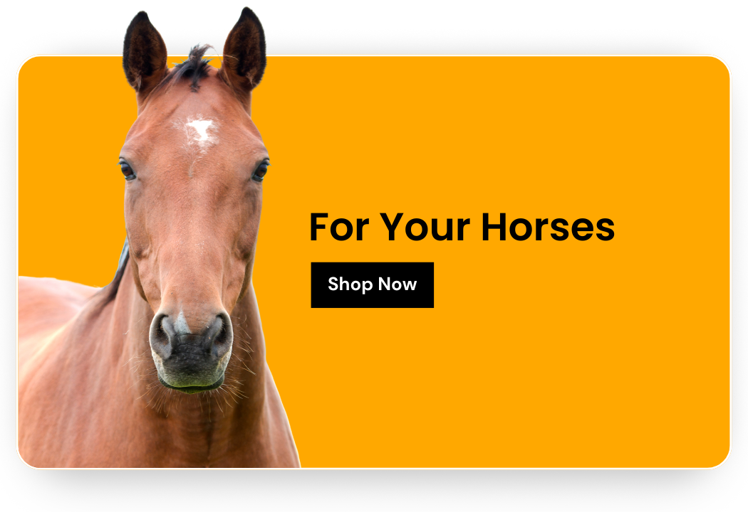 Shop for your Horses