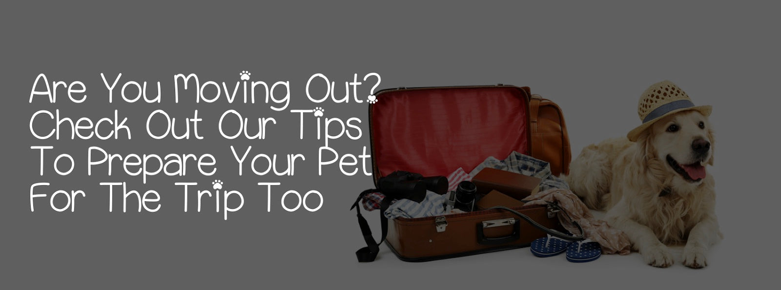 ARE YOU MOVING OUT? CHECK  OUT OUR TIPS TO PREPARE  YOUR PET FOR THE TRIP TOO