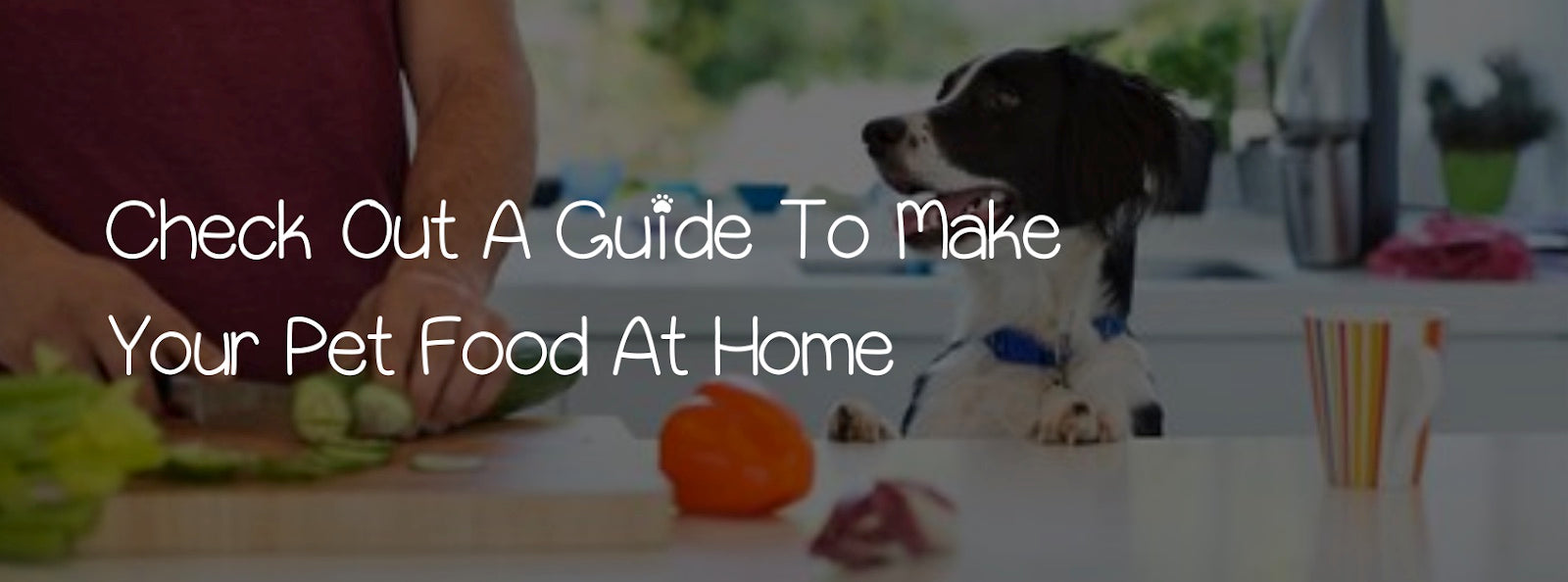 CHECK OUT A GUIDE TO MAKE YOUR PET FOOD AT HOME