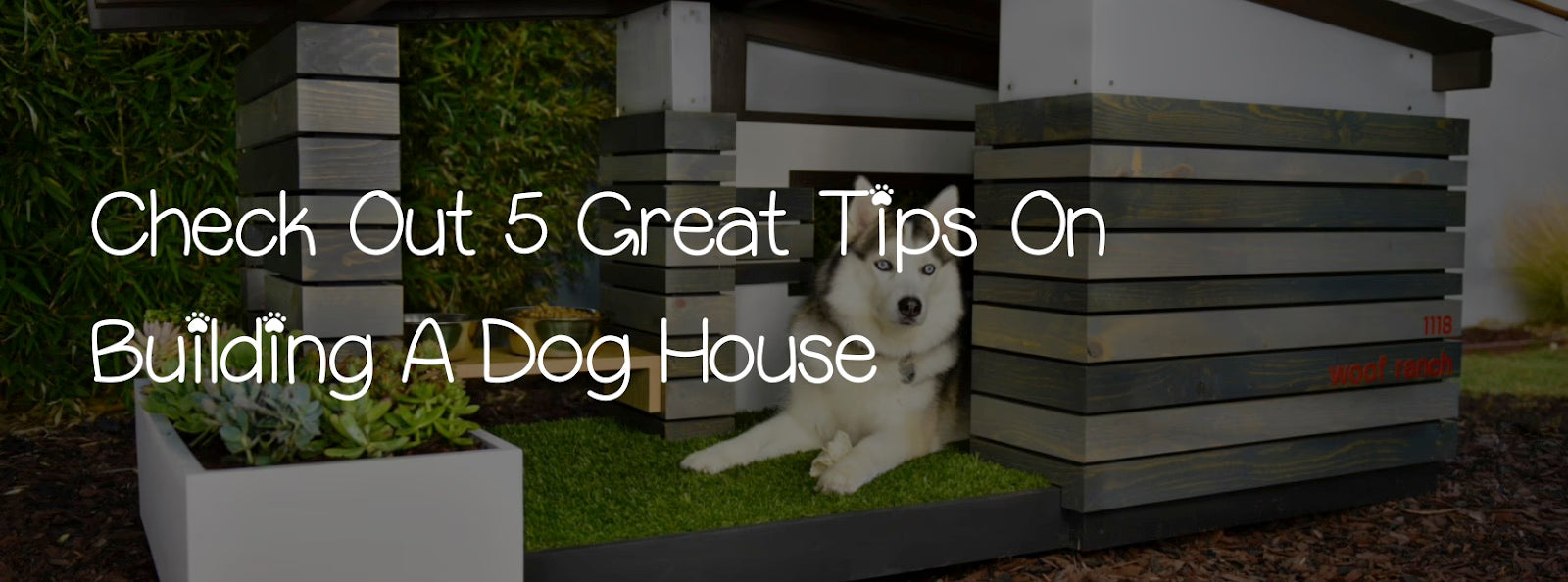 CHECK OUT 5 GREAT TIPS ON BUILDING A DOG HOUSE