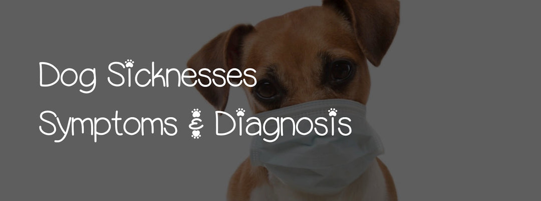 DOG SICKNESSES SYMPTOMS & DIAGNOSIS