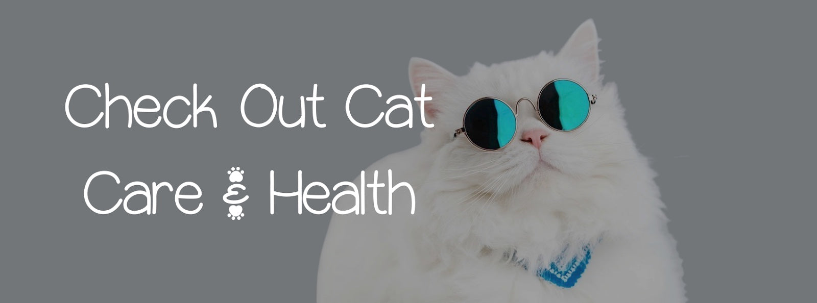 CHECK OUT CAT CARE & HEALTH