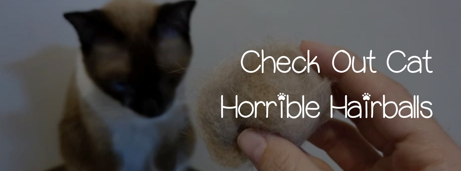 CHECK OUT CAT HORRIBLE HAIRBALLS