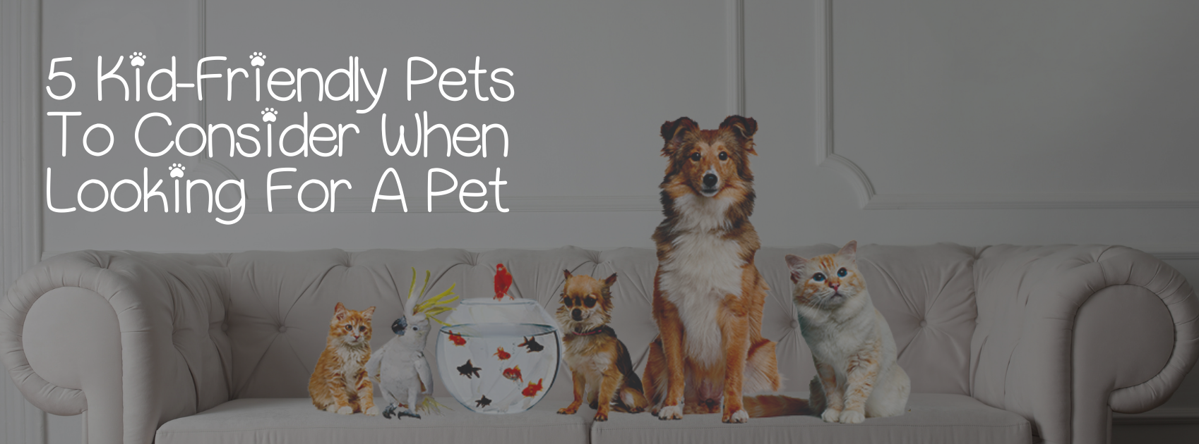 5 KIDFRIENDLY PETS TO CONSIDER WHEN LOOKING FOR A PET — Healthy Animals 4Ever