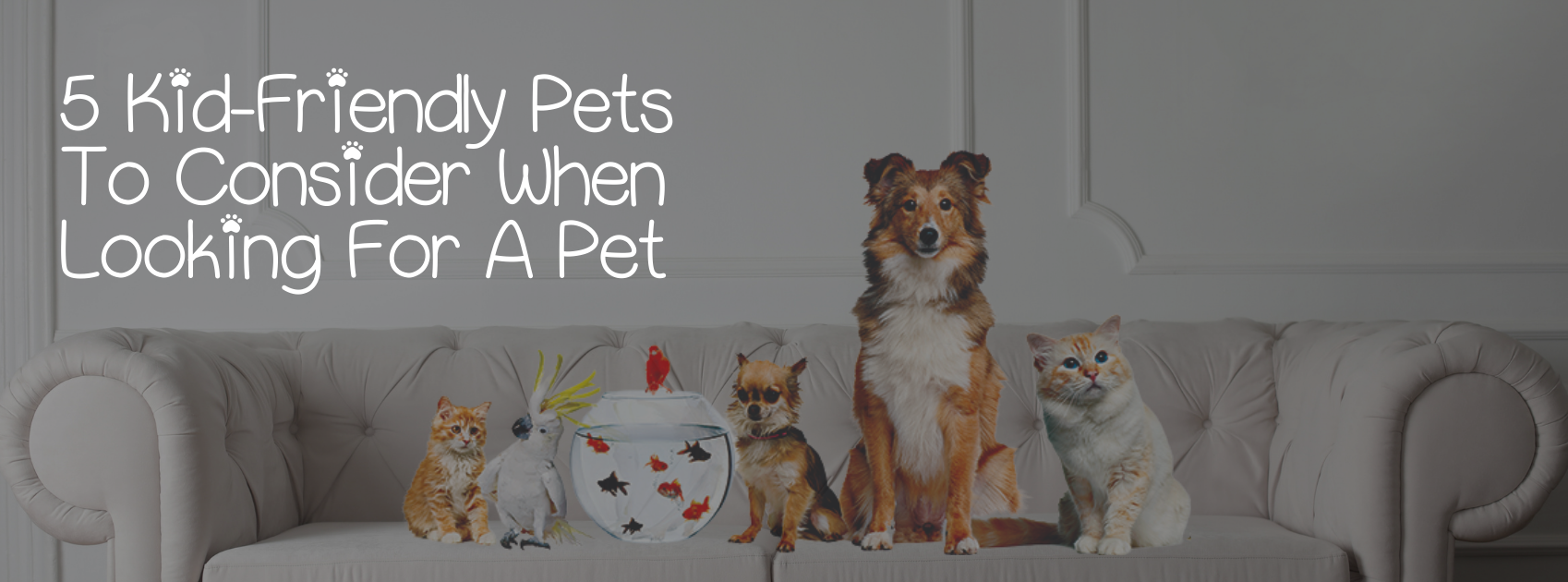 5 KID-FRIENDLY PETS TO CONSIDER WHEN LOOKING FOR A PET