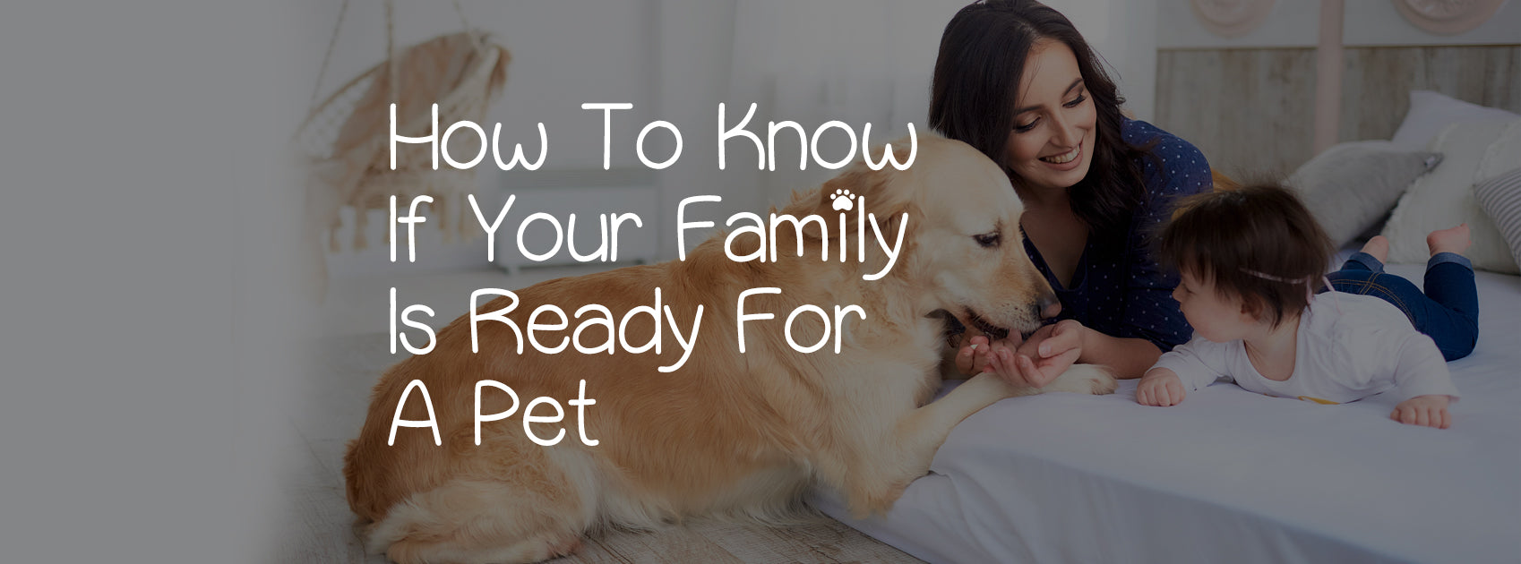 HOW TO KNOW IF YOUR FAMILY IS READY FOR A PET?