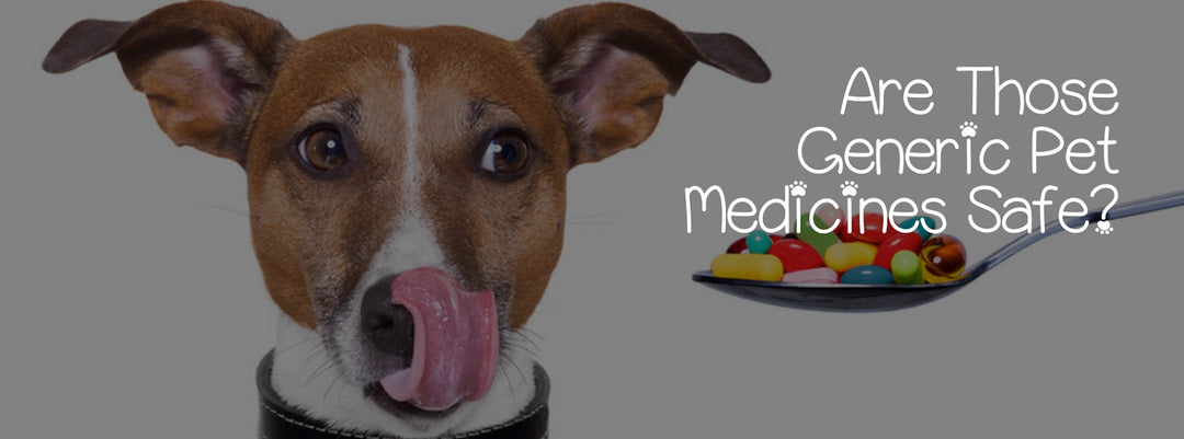 ARE THOSE GENERIC PET MEDICINES SAFE?